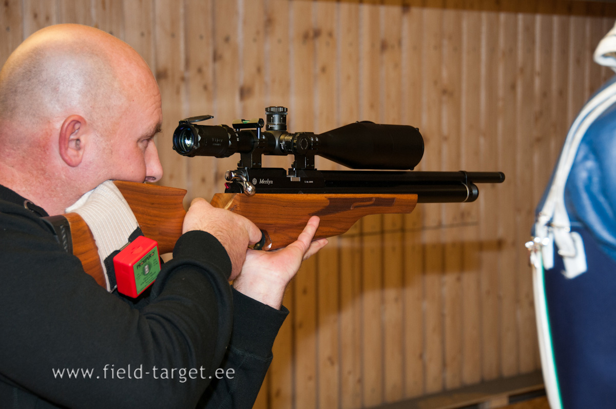 Danel Vanamets, Daystate Merlyn